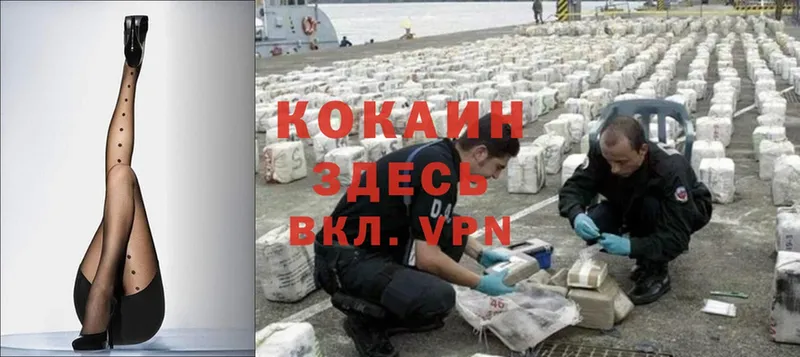 где можно купить наркотик  Большой Камень  ссылка на мегу   Cocaine 97% 